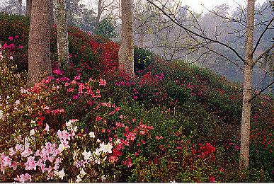 Steam新一周销量榜 《天国：拯救2》连续第二周登顶