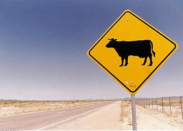 IGN 2023年“游戏之夏”活动将于6月回归